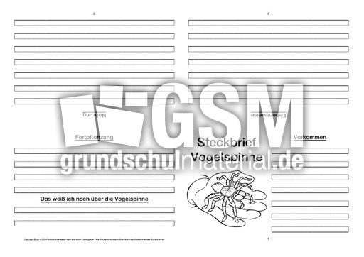 Vogelspinne-Faltbuch-vierseitig.pdf